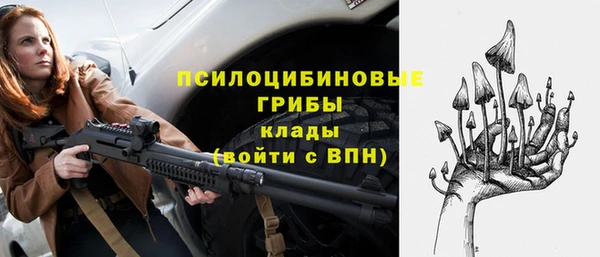 гидра Осинники