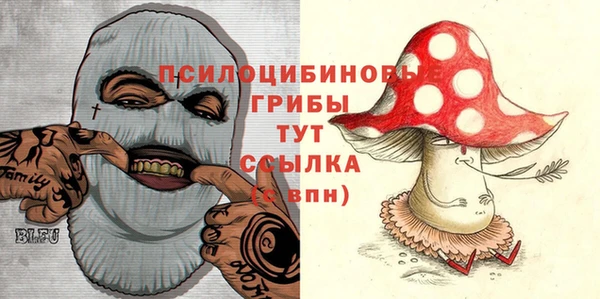 гидра Осинники