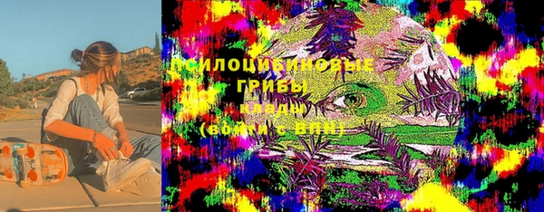 гидра Осинники