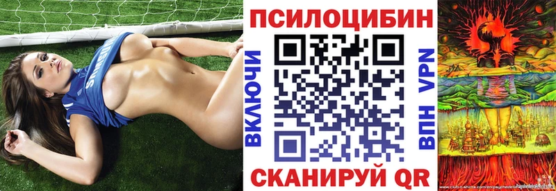Псилоцибиновые грибы Psilocybine cubensis  Купить где  Нижняя Салда 